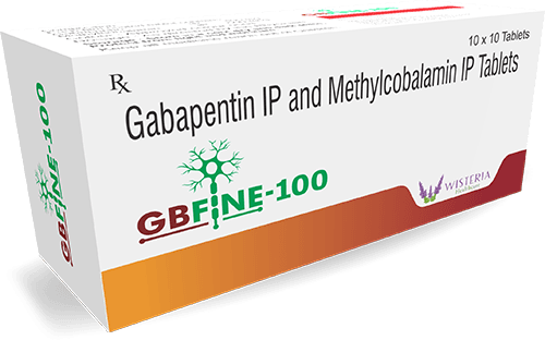 GBFine-100